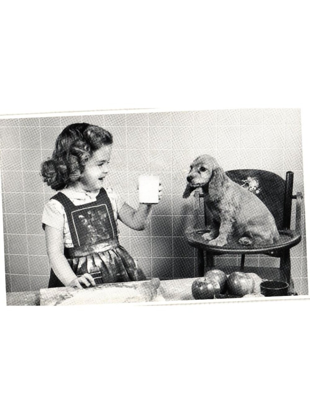 Little Girl & Puppy Vintage Real Photo Postcard North Shore Animal League